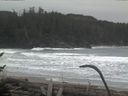 ./images/calvert/beach/20170126/beach20170126_093003.jpg