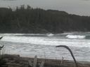 ./images/calvert/beach/20170126/beach20170126_094003.jpg