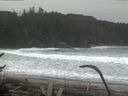 ./images/calvert/beach/20170126/beach20170126_094503.jpg