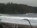 ./images/calvert/beach/20170126/beach20170126_095003.jpg