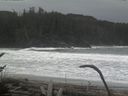 ./images/calvert/beach/20170126/beach20170126_100502.jpg