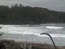 ./images/calvert/beach/20170126/beach20170126_101003.jpg