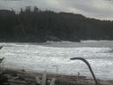 ./images/calvert/beach/20170126/beach20170126_104003.jpg