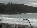 ./images/calvert/beach/20170126/beach20170126_105502.jpg