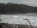 ./images/calvert/beach/20170126/beach20170126_110003.jpg