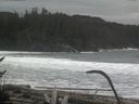 ./images/calvert/beach/20170126/beach20170126_111002.jpg