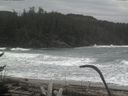 ./images/calvert/beach/20170126/beach20170126_111501.jpg