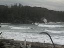 ./images/calvert/beach/20170126/beach20170126_112001.jpg