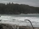 ./images/calvert/beach/20170126/beach20170126_113003.jpg