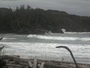 ./images/calvert/beach/20170126/beach20170126_115503.jpg