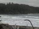 ./images/calvert/beach/20170126/beach20170126_121003.jpg