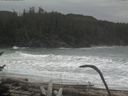./images/calvert/beach/20170126/beach20170126_121503.jpg