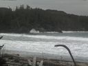 ./images/calvert/beach/20170126/beach20170126_122002.jpg