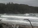 ./images/calvert/beach/20170126/beach20170126_123002.jpg