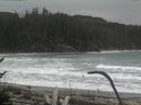 ./images/calvert/beach/20170126/beach20170126_124501.jpg