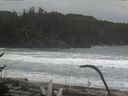 ./images/calvert/beach/20170126/beach20170126_125001.jpg