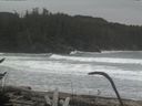./images/calvert/beach/20170126/beach20170126_125501.jpg
