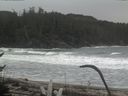 ./images/calvert/beach/20170126/beach20170126_131503.jpg