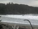 ./images/calvert/beach/20170126/beach20170126_135002.jpg