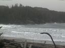 ./images/calvert/beach/20170127/beach20170127_103003.jpg