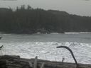 ./images/calvert/beach/20170127/beach20170127_122002.jpg