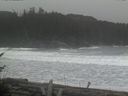 ./images/calvert/beach/20170128/beach20170128_110002.jpg