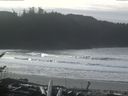 ./images/calvert/beach/20170130/beach20170130_120003.jpg