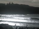 ./images/calvert/beach/20170130/beach20170130_132002.jpg