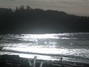 ./images/calvert/beach/20170130/beach20170130_133003.jpg