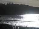 ./images/calvert/beach/20170130/beach20170130_135502.jpg