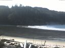 ./images/calvert/beach/20170131/beach20170131_110003.jpg