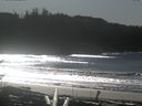 ./images/calvert/beach/20170131/beach20170131_131502.jpg