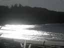 ./images/calvert/beach/20170131/beach20170131_132001.jpg
