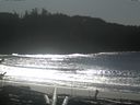 ./images/calvert/beach/20170131/beach20170131_132501.jpg