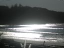 ./images/calvert/beach/20170131/beach20170131_133502.jpg