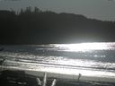 ./images/calvert/beach/20170131/beach20170131_134501.jpg