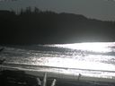 ./images/calvert/beach/20170131/beach20170131_135001.jpg
