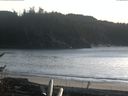 ./images/calvert/beach/20170201/beach20170201_160503.jpg