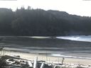./images/calvert/beach/20170202/beach20170202_110502.jpg