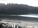./images/calvert/beach/20170203/beach20170203_102502.jpg
