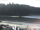 ./images/calvert/beach/20170203/beach20170203_115003.jpg