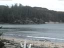 ./images/calvert/beach/20170204/beach20170204_080002.jpg