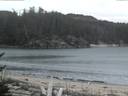 ./images/calvert/beach/20170204/beach20170204_081002.jpg