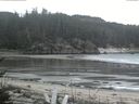 ./images/calvert/beach/20170204/beach20170204_120501.jpg