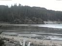 ./images/calvert/beach/20170204/beach20170204_121002.jpg