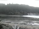 ./images/calvert/beach/20170204/beach20170204_130503.jpg