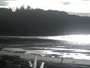 ./images/calvert/beach/20170204/beach20170204_140001.jpg