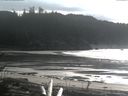 ./images/calvert/beach/20170204/beach20170204_142501.jpg