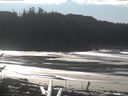 ./images/calvert/beach/20170205/beach20170205_130501.jpg