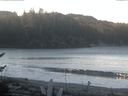 ./images/calvert/beach/20170206/beach20170206_094002.jpg